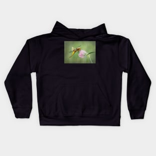 Broad-bodied Chaser female on red clover flower Kids Hoodie